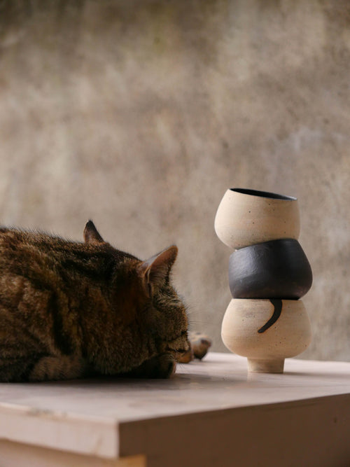 Works of Writer Lai Fu